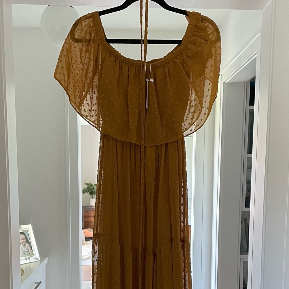Baltic born Swiss dot maxi dress
